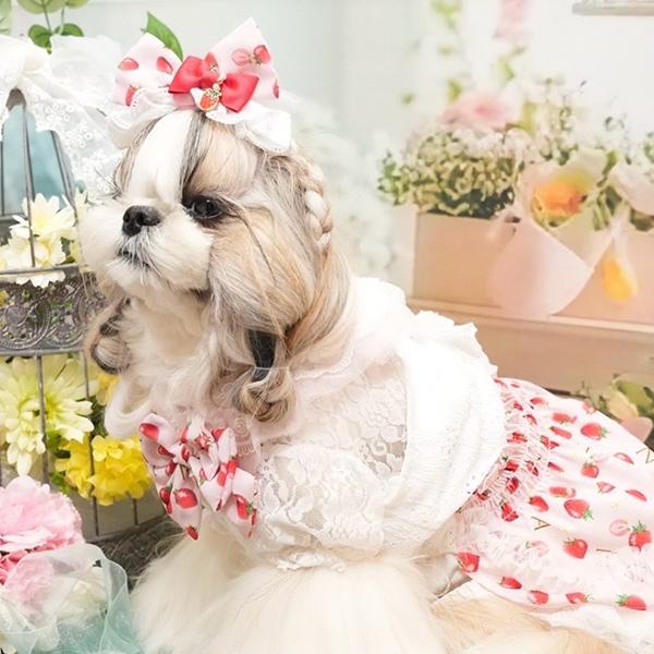 CanNana 【WEB限定】犬 服 犬の服 通年 レイヤー インナー カットソー
