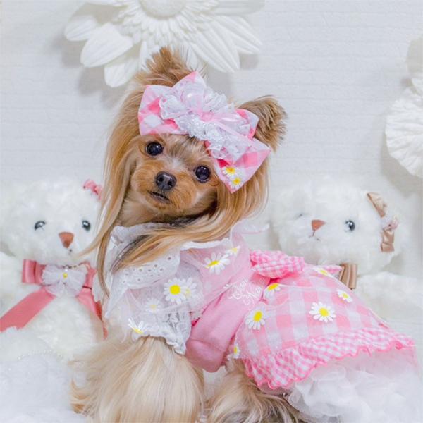 CanNana 【WEB限定】犬 服 犬の服 通年 レイヤー インナー カットソー