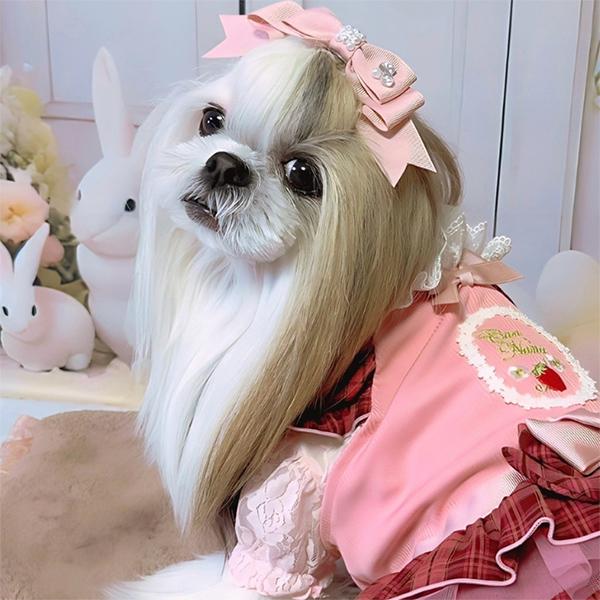 CanNana 【WEB限定】犬 服 犬の服 通年 レイヤー インナー カットソー