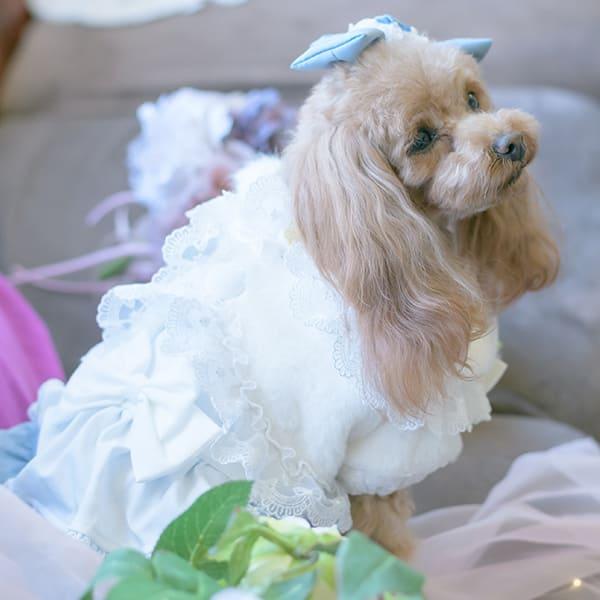 CanNana 犬服 犬の服 冬 レースフリルファーボレロ アウター コート