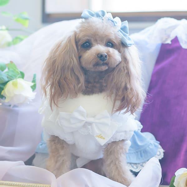 CanNana 犬服 犬の服 冬 レースフリルファーボレロ アウター コート