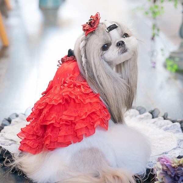 CanNana 犬 服 犬の服 秋冬 サテンドレスアップワンピース