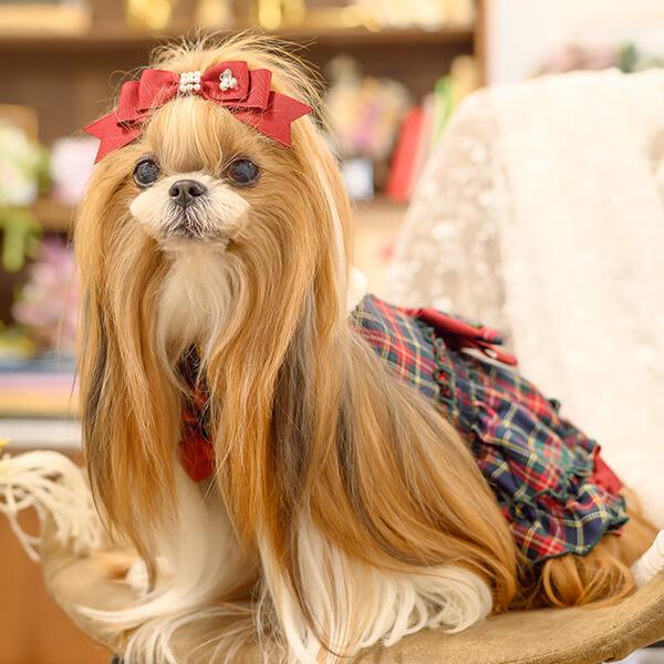 CanNana 犬 犬服 服 秋冬ドックウェア ワンピース かわいい フリフリ