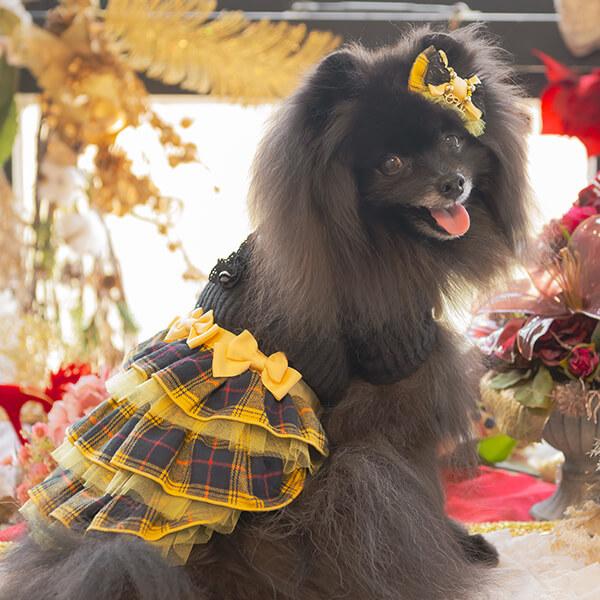 犬服 フリル付き黒と黄色のチェック　CanNana 犬服 フリル付き黒と黄色のチェック CanNana CanNana 犬 犬服 秋冬
