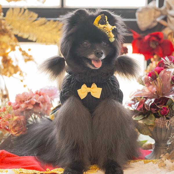 CanNana 犬 犬服 服 秋冬 ドックウェア ワンピース プレゼント