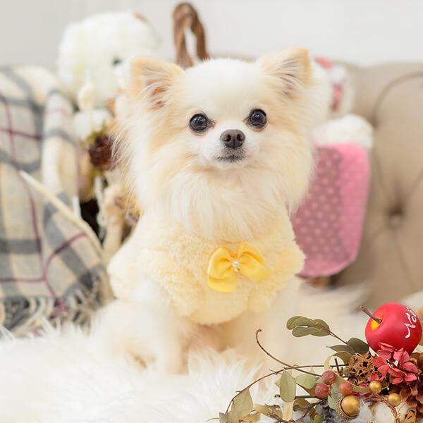 CanNana 犬 犬服 服 秋冬 冬 暖かい部屋着 防寒 ドックウェア かわいい