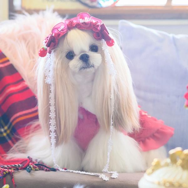 CanNana 犬 服 犬の服 冬 ブローチ付冬いちごファーコート 丸襟 ハート
