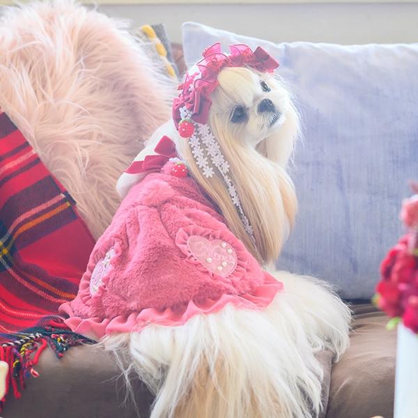 CanNana 犬 服 犬の服 冬 ブローチ付冬いちごファーコート 丸襟 ハート