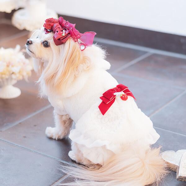 CanNana 犬 服 犬の服 冬 ブローチ付冬いちごファーコート 丸襟 ハート