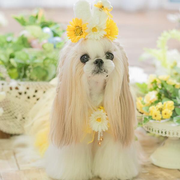 CanNana 犬 犬服 春 チュールフリルキャミワンピース ドレス フリル
