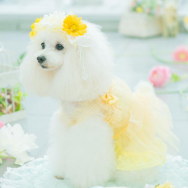 CanNana 犬 犬服 春 チュールフリルキャミワンピース ドレス フリル