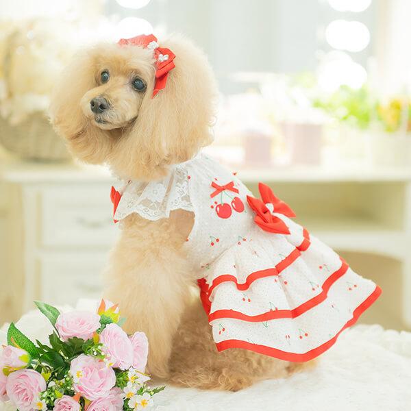 CanNana 犬 犬服 春夏 さくらんぼフレアーワンピース レース CanNana 犬 犬服 春夏 さくらんぼフレアーワンピース レース