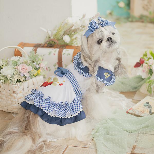 CanNana 犬 犬服 春 レトロいちごギンガムフリルワンピース