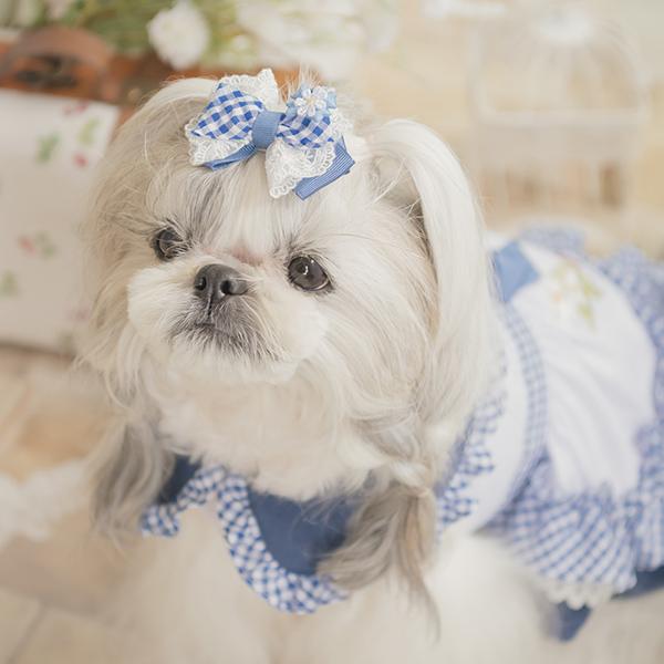 CanNana 犬 犬服 春 レトロいちごギンガムフリルワンピース