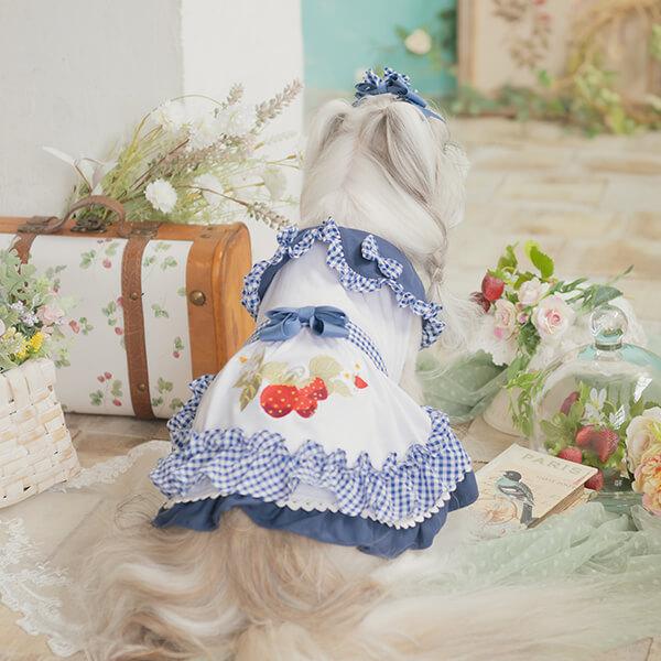 きゃんナナ レトロいちごギンガムフリルワンピース ブルー Mサイズ CanNana 犬 犬服 春 レトロいちごギンガムフリルワンピース