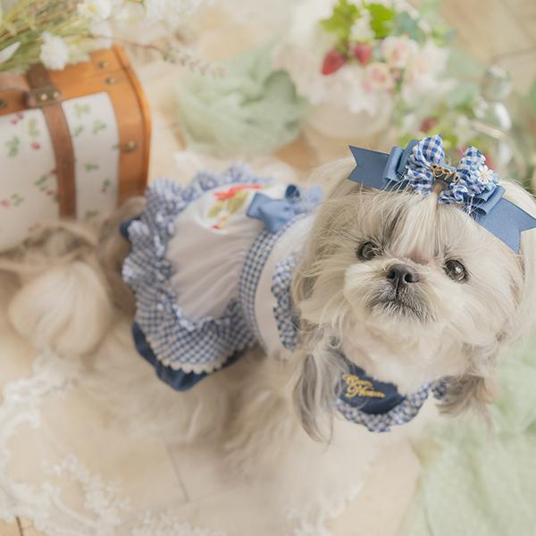 CanNana 犬 犬服 春 レトロいちごギンガムフリルワンピース