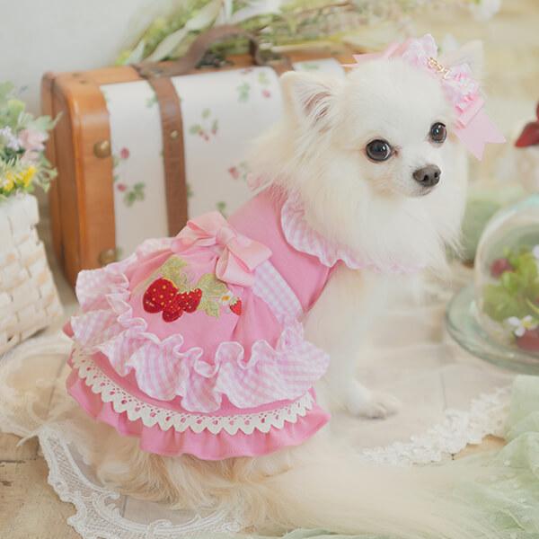 犬服　イチゴフリフリメッシュワンピース　見本 犬服イチゴフリフリメッシュワンピース見本
