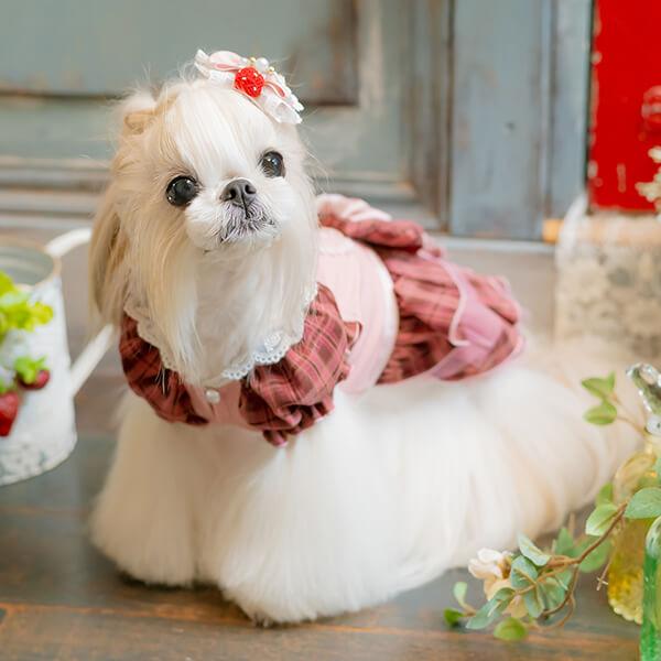 CanNana 犬 犬服 春 レトロいちごタータンチェックワンピース チュール
