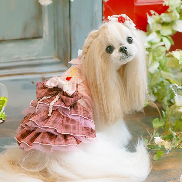 CanNana 犬 犬服 春 レトロいちごタータンチェックワンピース