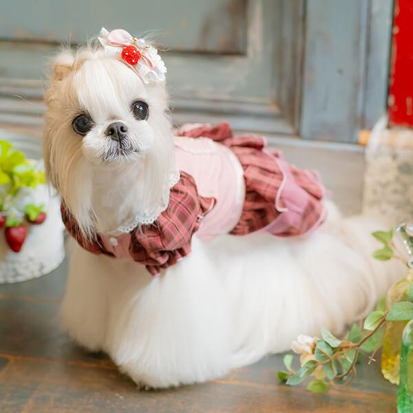 赤いチェリーの犬の服 犬服 イチゴ服（超小型犬・小型犬・中型用犬
