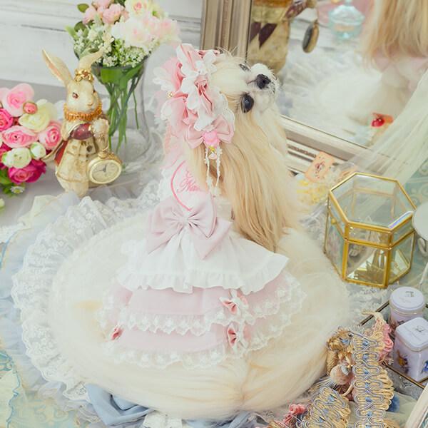 きゃんナナ　不思議の国のアリス　　ネックドレス付き CanNana きゃんナナ 犬服 ドレス ワンピース 不思議の国のアリス