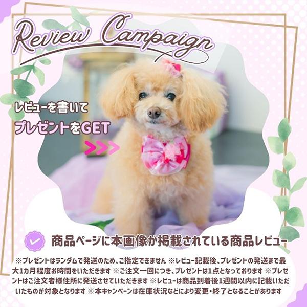 CanNana アリス 不思議の国のアリス ブルー 犬服 ワンピース