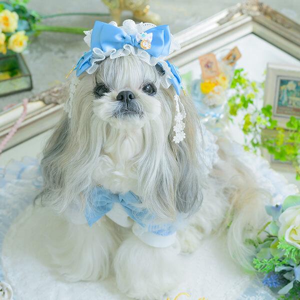 CanNana アリス 不思議の国のアリス ブルー 犬服 シャツ トップス