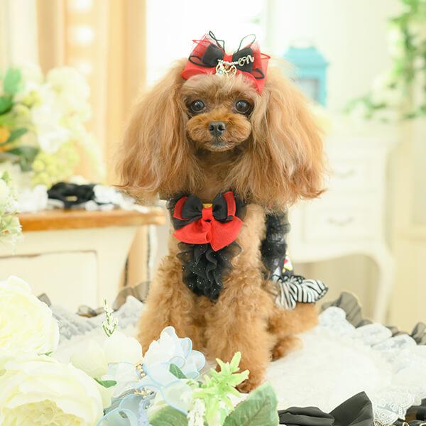 CanNana アリス 不思議の国のアリス クール 夏 熱中症対策 犬服