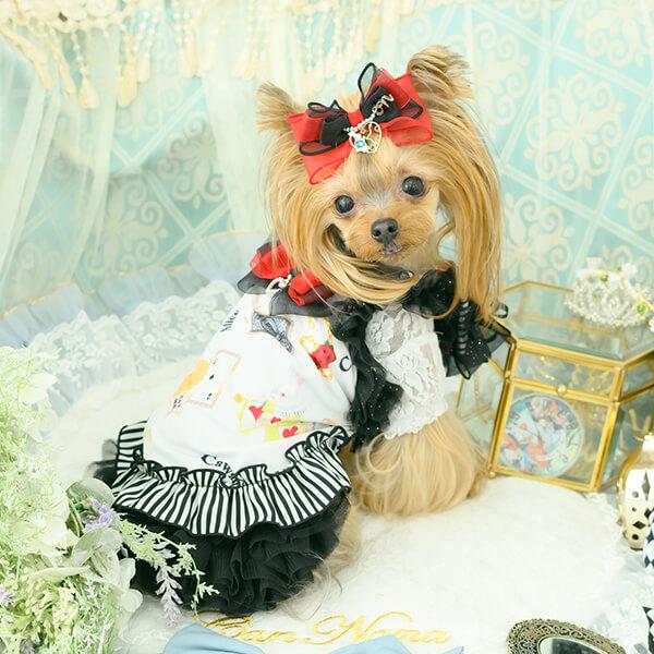 CanNana アリス 不思議の国のアリス クール 夏 熱中症対策 犬服