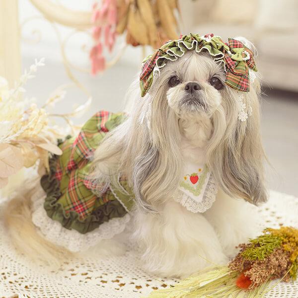 CanNana 犬 犬服 秋冬 ドックウェア ワンピース レトロ いちご