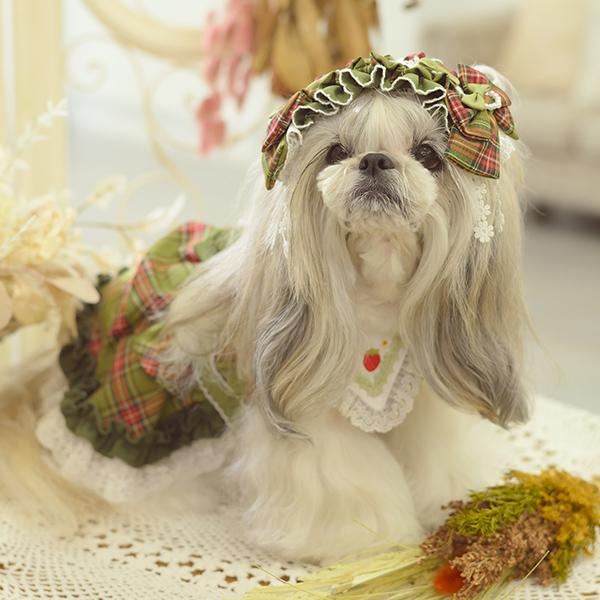 CanNana 犬 犬服 秋冬 ドックウェア ワンピース レトロ いちご