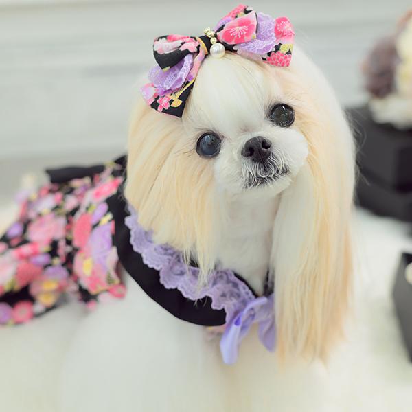 CanNana 犬 犬服 ドックウェア ワンピース フリフリ 通年 春 ロリータ