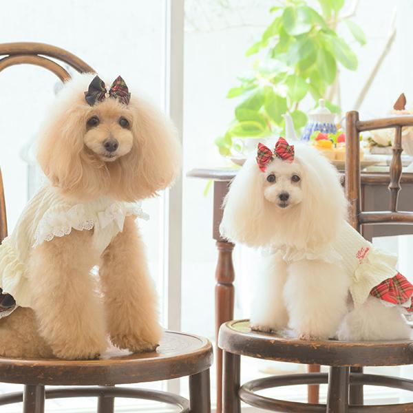 CanNana 犬 犬服 秋冬 ドックウェア ワンピース タータンチェック