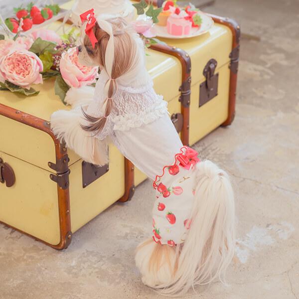 CanNana 犬 犬服 パンツ ズボン 冬服 防寒 暖かい ドックウェア