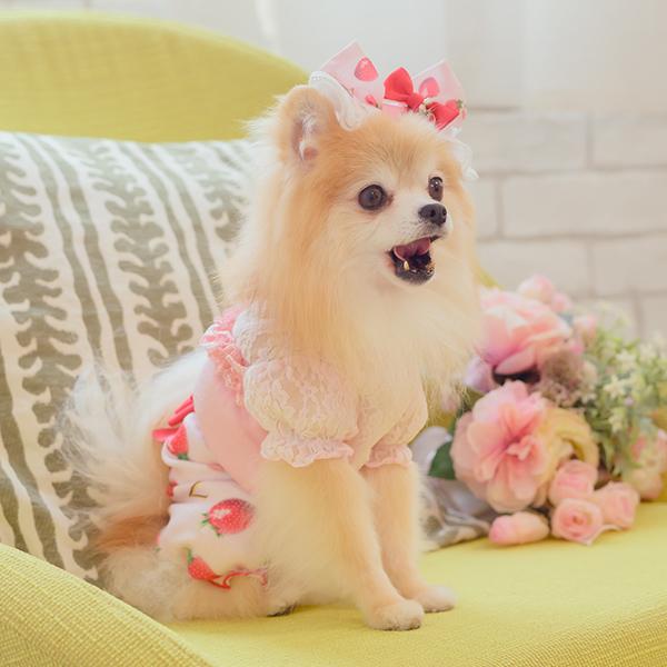 CanNana 犬 犬服 パンツ ズボン 冬服 防寒 暖かい ドックウェア