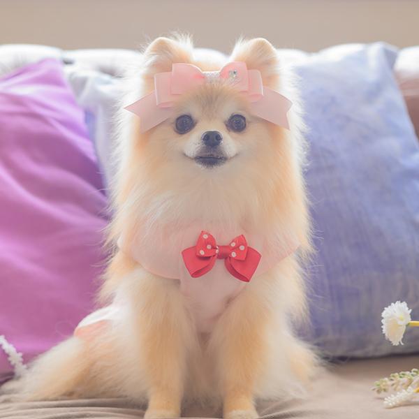 CanNana 犬 犬服 冬服 防寒 暖かい ドックウェア ワンピース かわいい