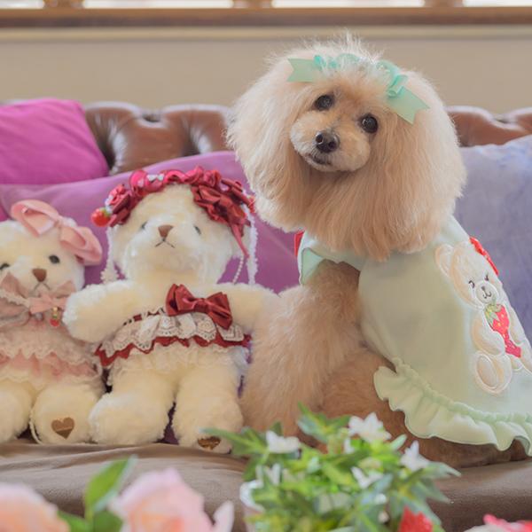 CanNana 犬 犬服 冬服 防寒 暖かい ドックウェア ワンピース かわいい