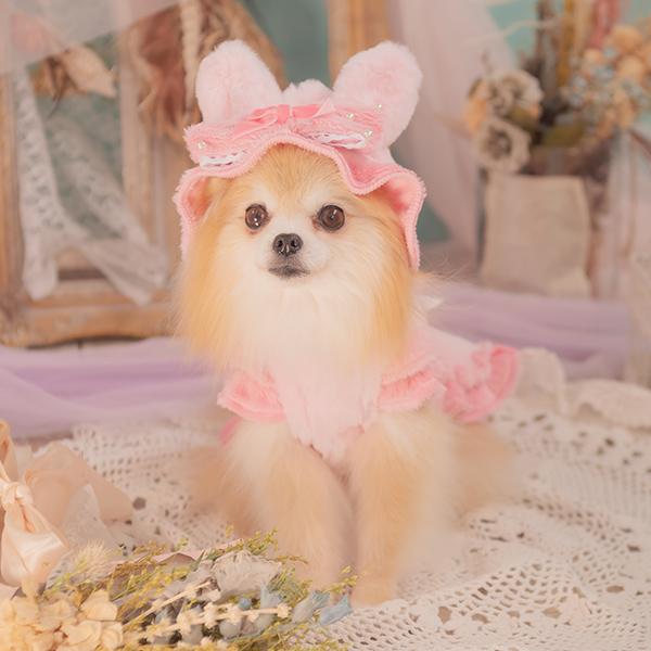 CanNana 犬 犬服 冬服 防寒 暖かい ドックウェア ワンピース かわいい