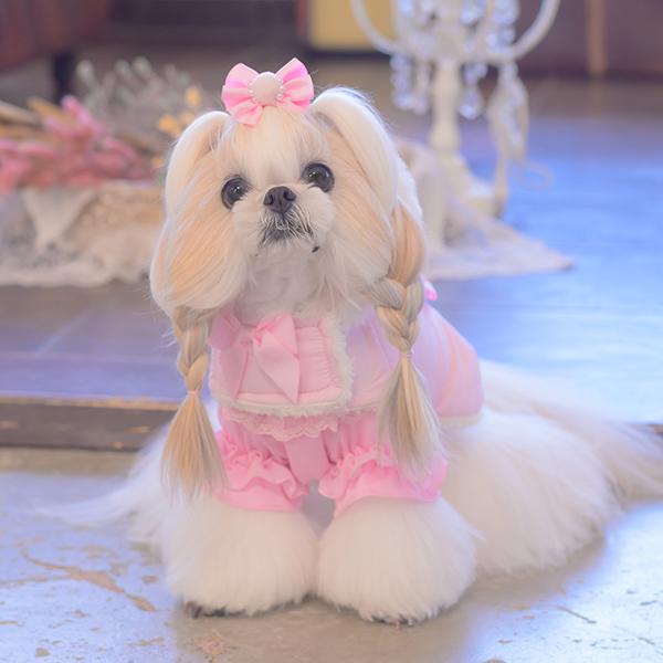 CanNana 犬 犬服 冬服 冬 防寒 暖かい アウター マント 軽い ドック