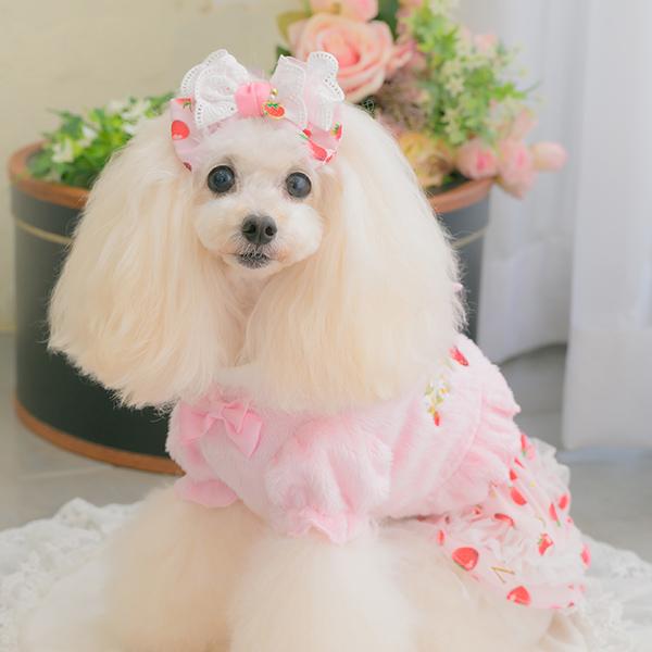 ホワイト犬服 リボン付き　ハーフボレロ　CanNana CanNana ボレロ ハーフ アウター 防寒 犬服 いちご ブランド 小型犬