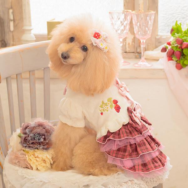 CanNana ボレロ ハーフ アウター 防寒 犬服 いちご ブランド 小型犬