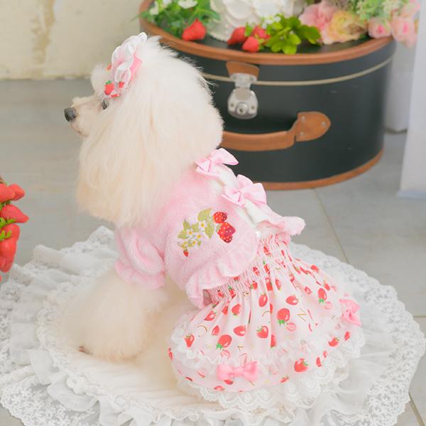 CanNana ボレロ ハーフ アウター 防寒 犬服 いちご ブランド 小型犬