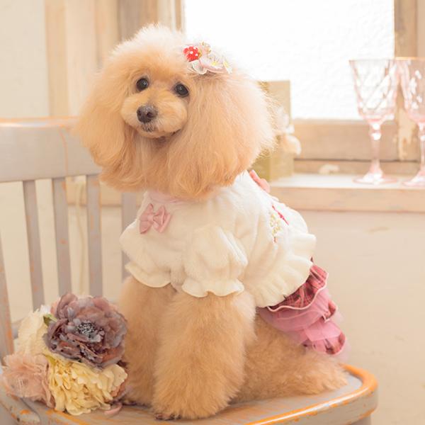 ホワイト犬服 リボン付き　ハーフボレロ　CanNana CanNana ボレロ ハーフ アウター 防寒 犬服 いちご ブランド 小型犬
