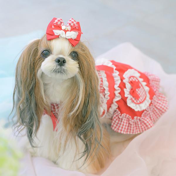 CanNana 犬服 春 ワンピース ギンガム フリル リボン 小型犬 女の子