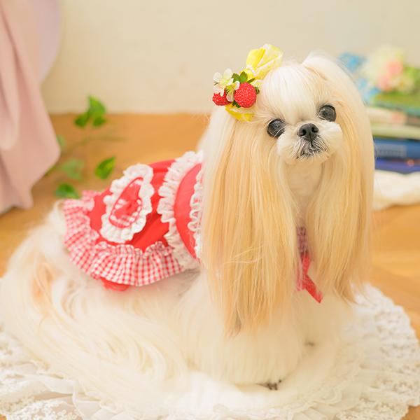 CanNana 犬服 春 ワンピース ギンガム フリル リボン 小型犬 女の子