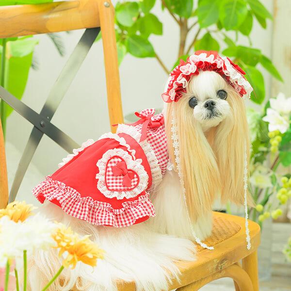 CanNana 犬服 春 ワンピース ギンガム フリル リボン 小型犬 女の子