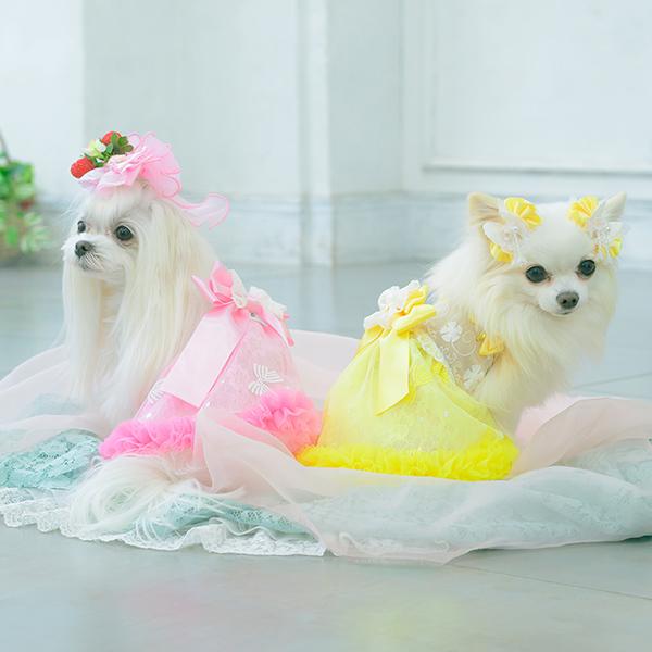 CanNana 犬服 春 ワンピース キャミワンピ 透け感 フリル リボン