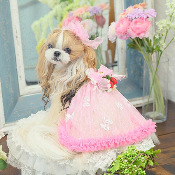 CanNana 犬服 春 ワンピース キャミワンピ 透け感 フリル リボン