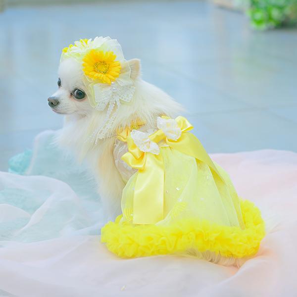 CanNana 犬服 春 ワンピース キャミワンピ 透け感 フリル リボン
