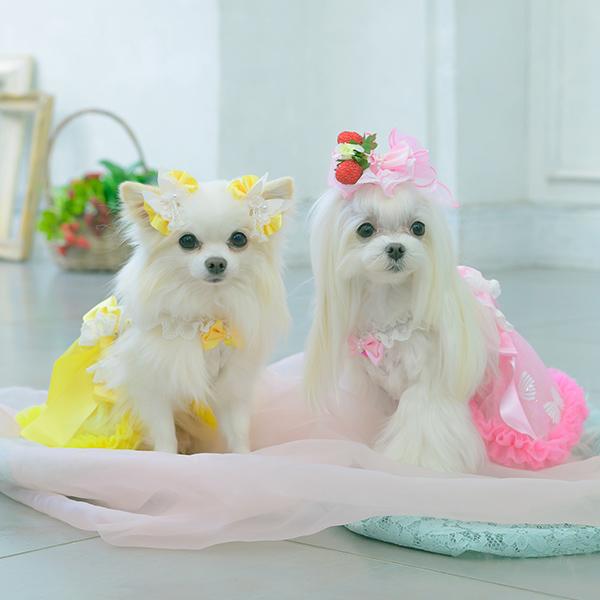 CanNana 犬服 春 ワンピース キャミワンピ 透け感 フリル リボン